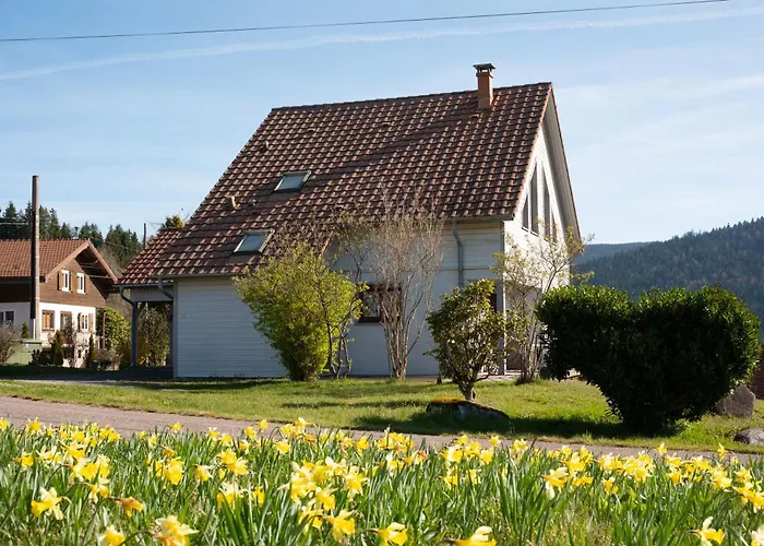 Le Des Beuquillons 3* Gerardmer