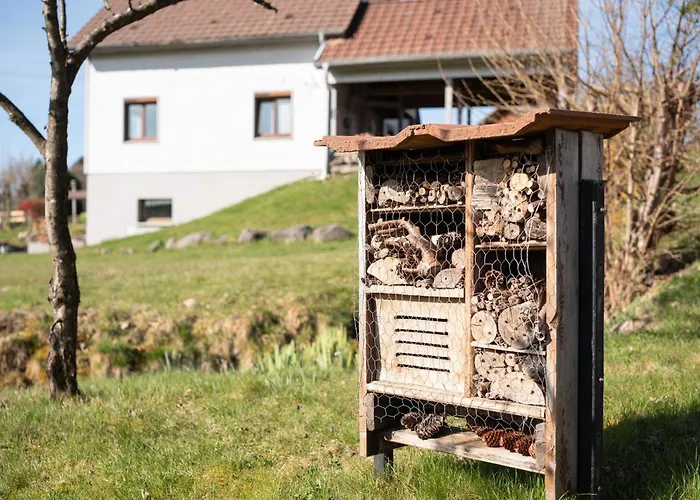 Le Des Beuquillons Bed & Breakfast